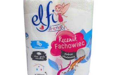 Ręcznik papierowy Elfi Friendly FACHOWIEC 2 warstwy A’2*24*20 wor/pal